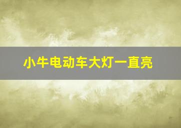 小牛电动车大灯一直亮