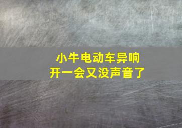 小牛电动车异响开一会又没声音了