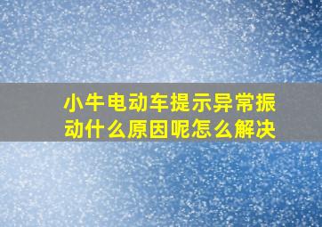 小牛电动车提示异常振动什么原因呢怎么解决