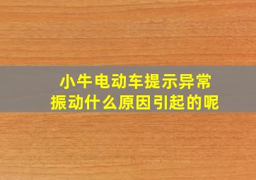 小牛电动车提示异常振动什么原因引起的呢