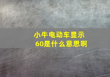 小牛电动车显示60是什么意思啊