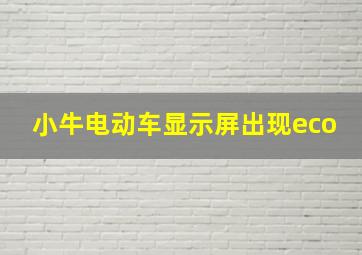 小牛电动车显示屏出现eco