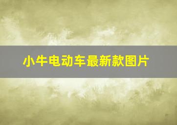 小牛电动车最新款图片