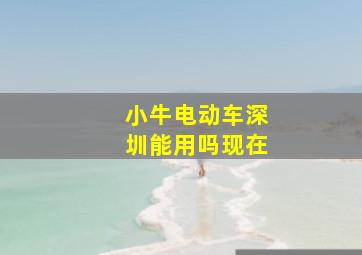 小牛电动车深圳能用吗现在