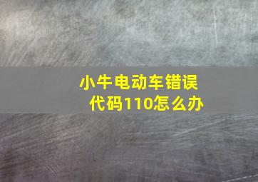 小牛电动车错误代码110怎么办