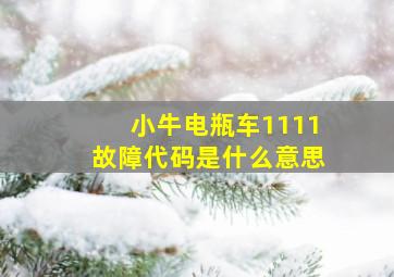 小牛电瓶车1111故障代码是什么意思