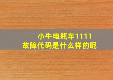 小牛电瓶车1111故障代码是什么样的呢