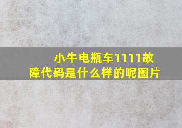 小牛电瓶车1111故障代码是什么样的呢图片