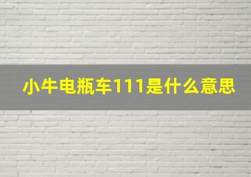 小牛电瓶车111是什么意思