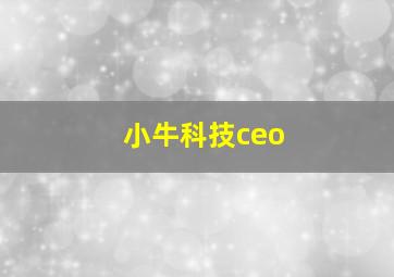 小牛科技ceo