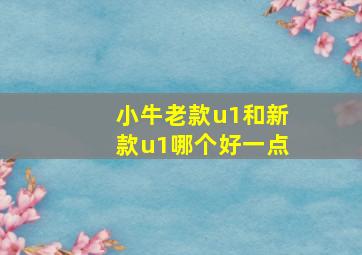 小牛老款u1和新款u1哪个好一点