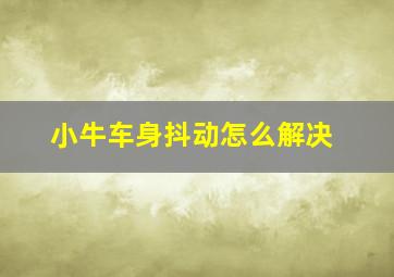 小牛车身抖动怎么解决