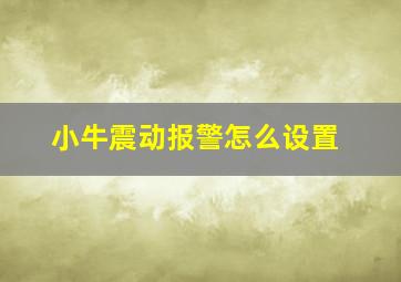 小牛震动报警怎么设置