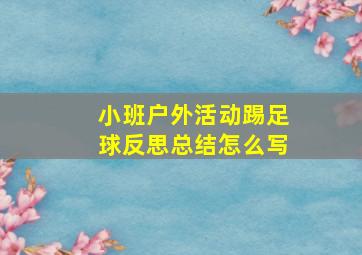 小班户外活动踢足球反思总结怎么写