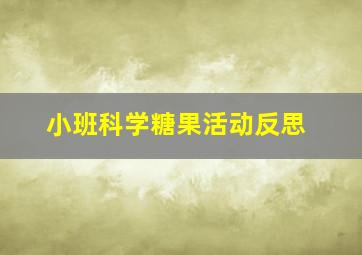 小班科学糖果活动反思