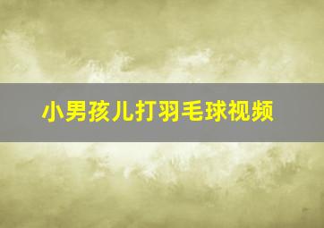 小男孩儿打羽毛球视频