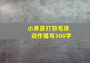 小男孩打羽毛球动作描写300字