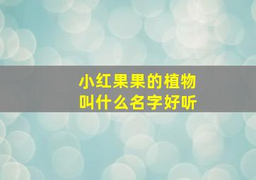 小红果果的植物叫什么名字好听