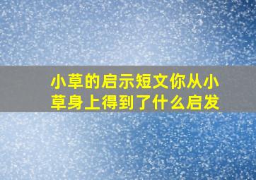 小草的启示短文你从小草身上得到了什么启发