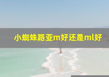 小蜘蛛路亚m好还是ml好