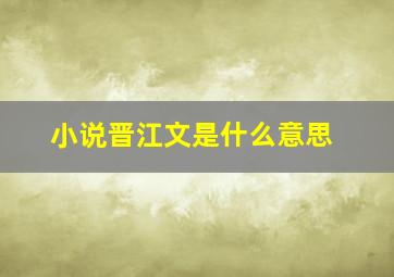 小说晋江文是什么意思