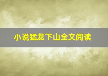 小说猛龙下山全文阅读