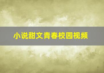 小说甜文青春校园视频