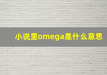 小说里omega是什么意思