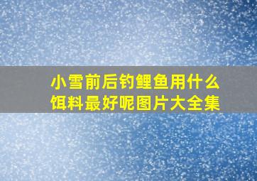 小雪前后钓鲤鱼用什么饵料最好呢图片大全集