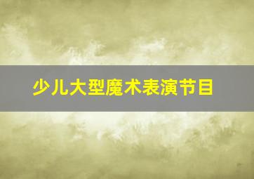 少儿大型魔术表演节目