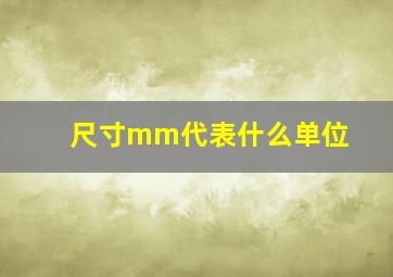 尺寸mm代表什么单位