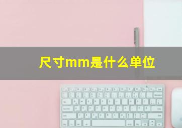 尺寸mm是什么单位