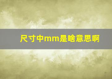 尺寸中mm是啥意思啊