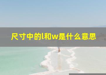 尺寸中的l和w是什么意思