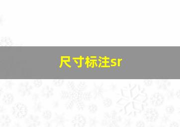 尺寸标注sr