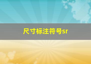 尺寸标注符号sr