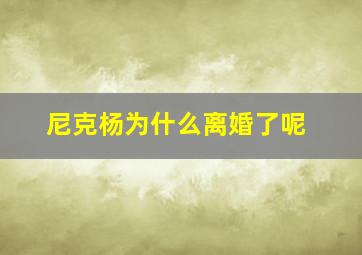 尼克杨为什么离婚了呢