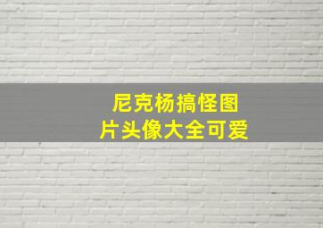 尼克杨搞怪图片头像大全可爱