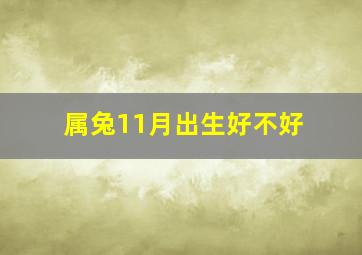 属兔11月出生好不好