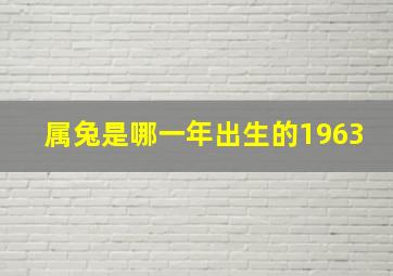 属兔是哪一年出生的1963