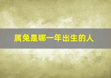 属兔是哪一年出生的人