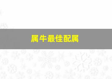 属牛最佳配属