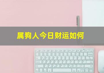 属狗人今日财运如何