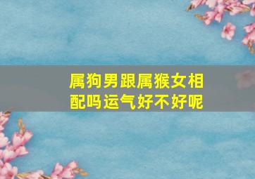 属狗男跟属猴女相配吗运气好不好呢