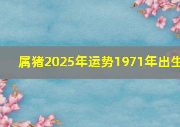 属猪2025年运势1971年出生