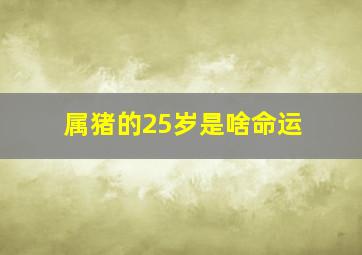 属猪的25岁是啥命运