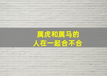 属虎和属马的人在一起合不合