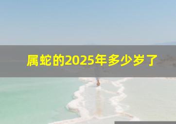 属蛇的2025年多少岁了