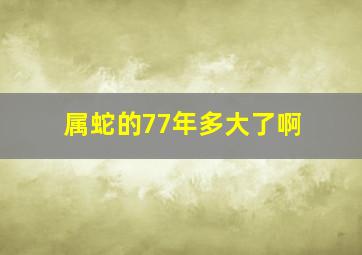 属蛇的77年多大了啊