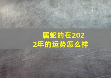 属蛇的在2022年的运势怎么样